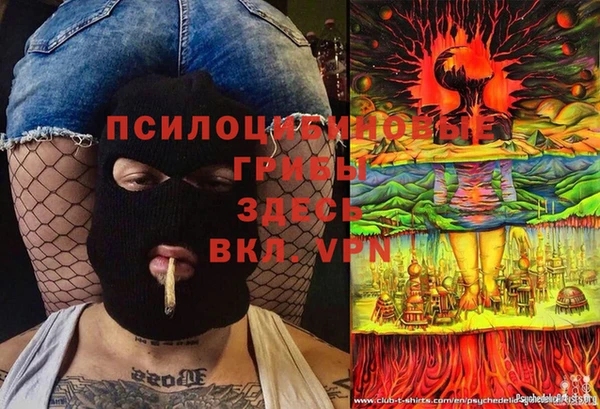 тгк Арсеньев